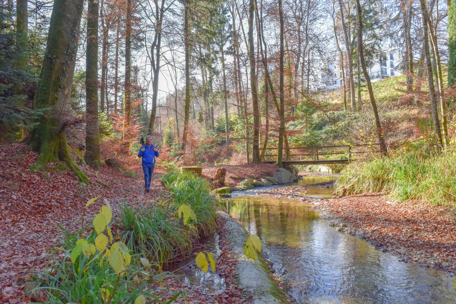 Ein Stück Natur in der Stadt: Das Ufer des Flon ist beliebt. Bild: Nathalie Stöckli