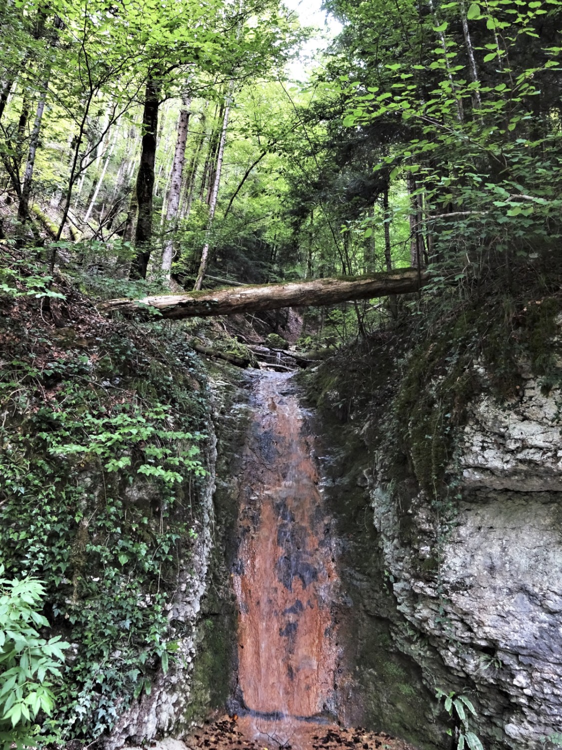 Après Tariche, une cascade apparaît sur le chemin qui conduit à St-Ursanne. Photo: Miroslaw Halaba