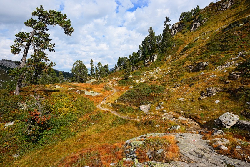 Il n’y a pas que des humains qui habitent le Seefeld. Photos: natur-welten.ch