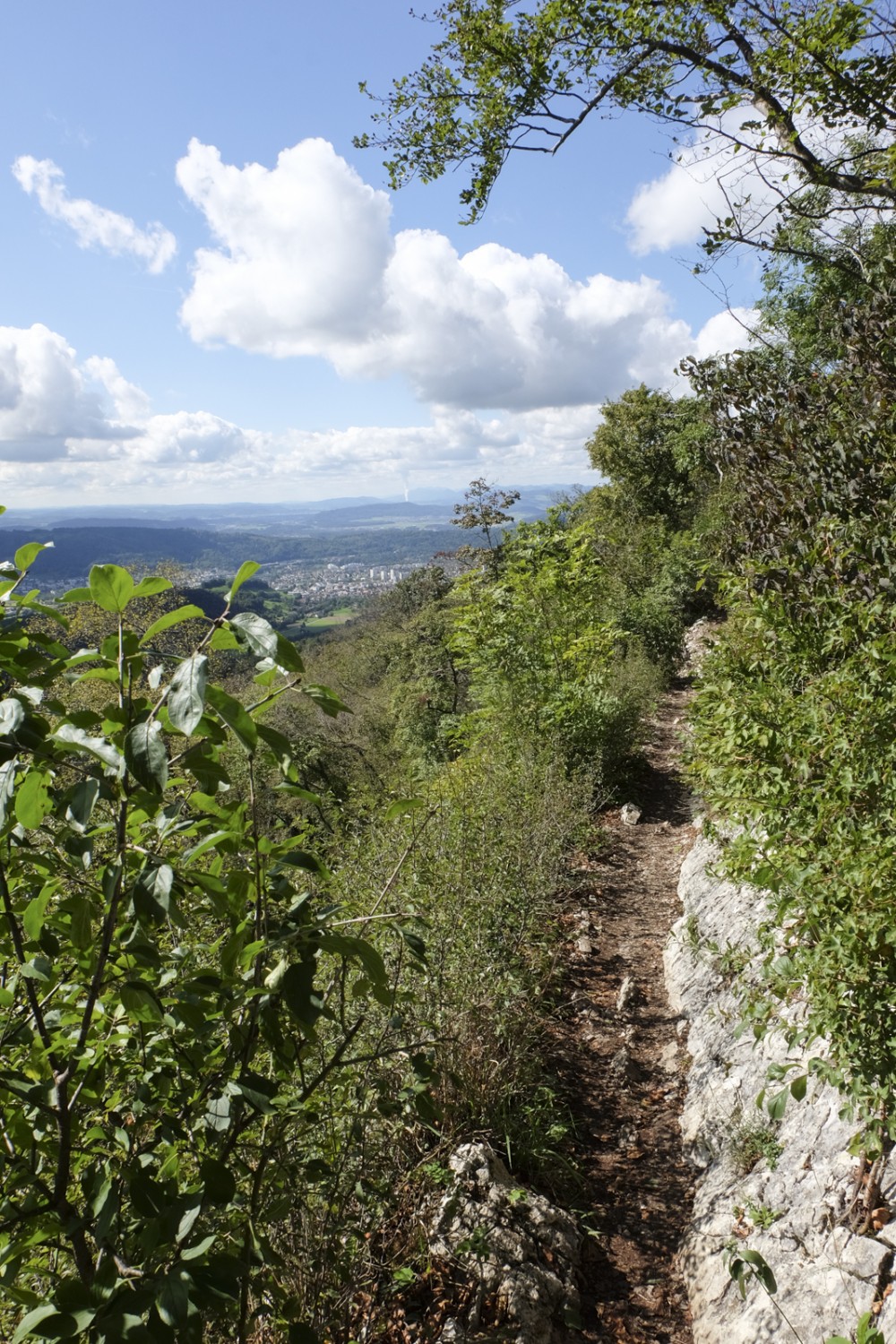 Le sentier longe le côté sud du Lägern, où la végétation est chiche. Photo: Elsbeth Flüeler