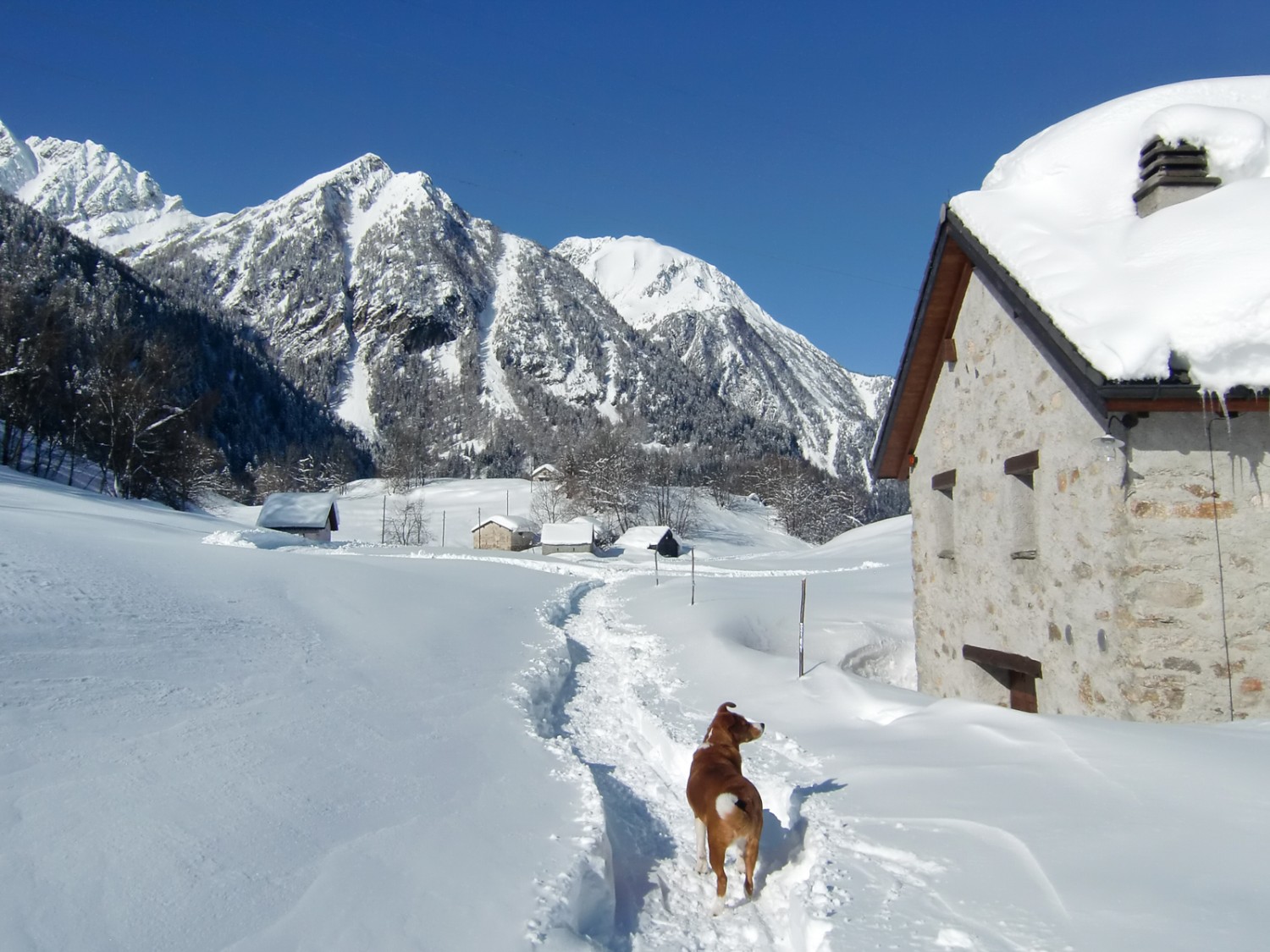 Auf der Hochebene von Dalpe. Bild: Racchette Dalpe