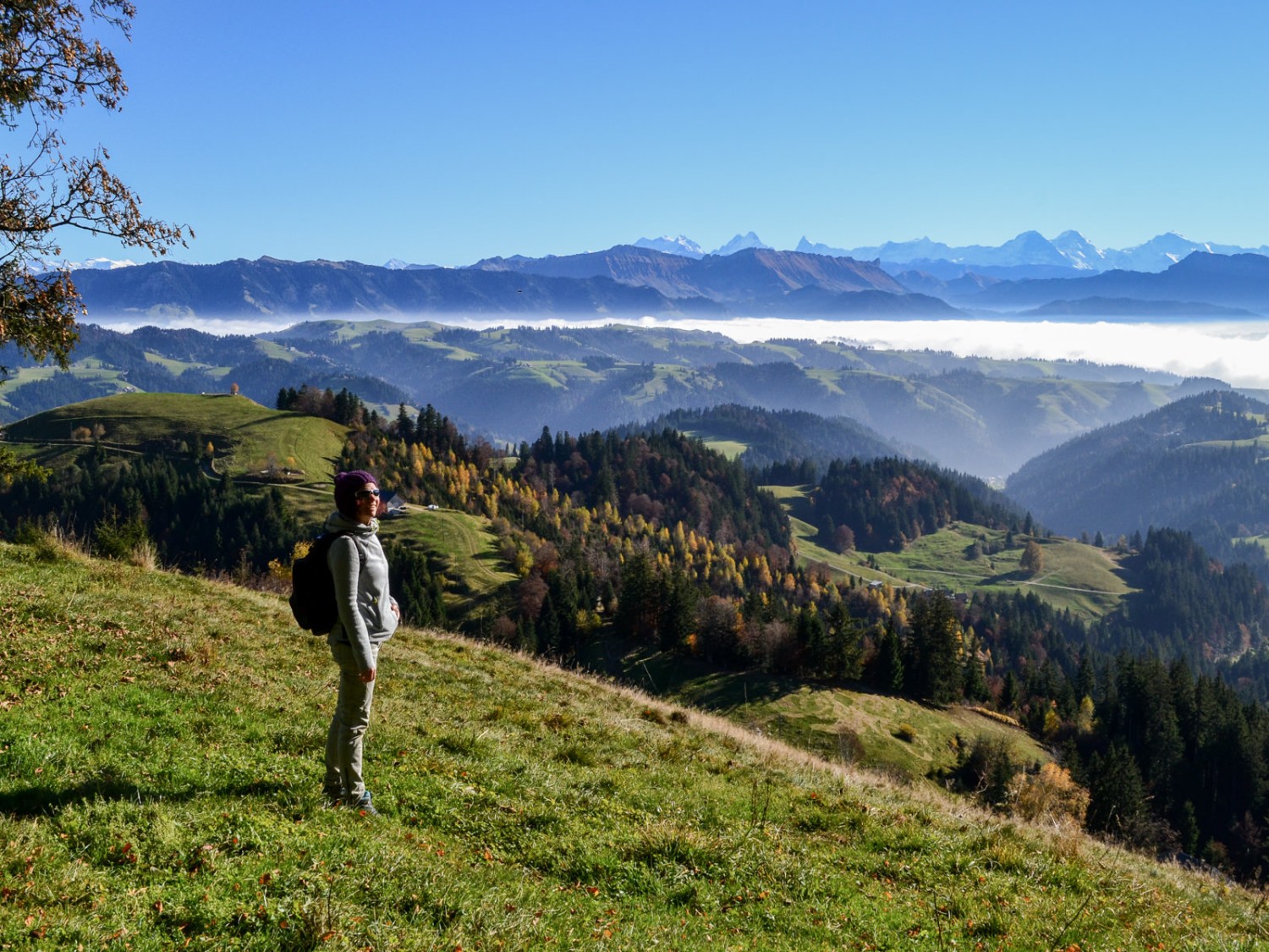 Tons chauds de l’automne au Stauffenknubel. Photo: Sabine Joss