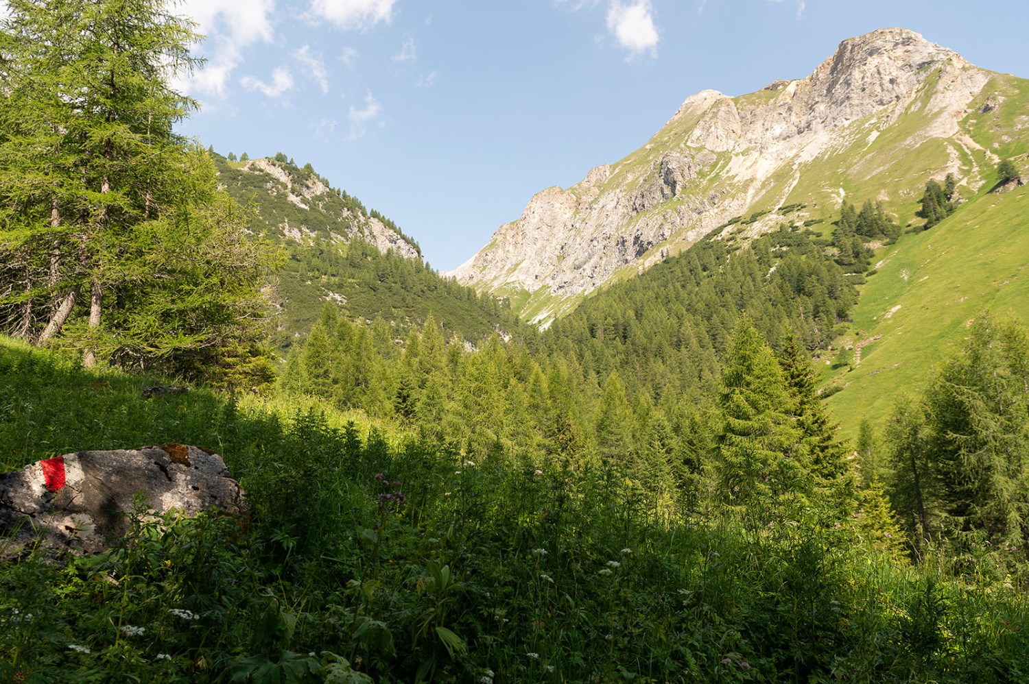 Depuis la Steileralp, l’Alperschällilücka est déjà bien visible. Photo: Raja Läubli