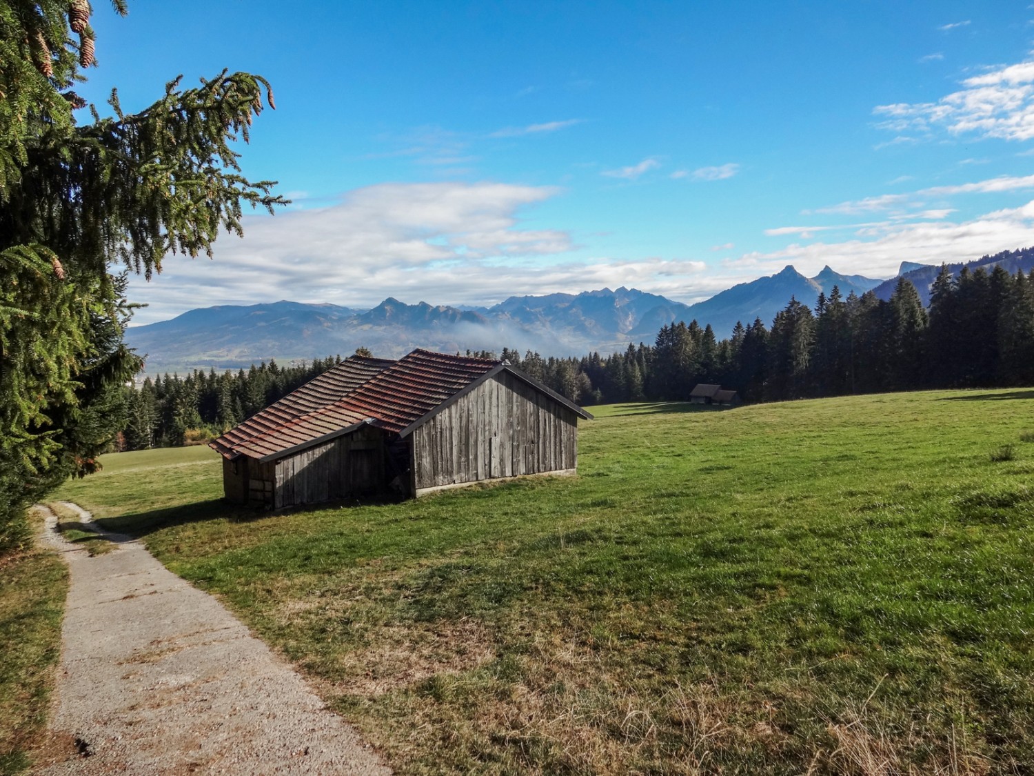 Beginn der Steigung. Die Freiburger Voralpen sind gut zu erkennen. Bild: Miroslaw Halaba