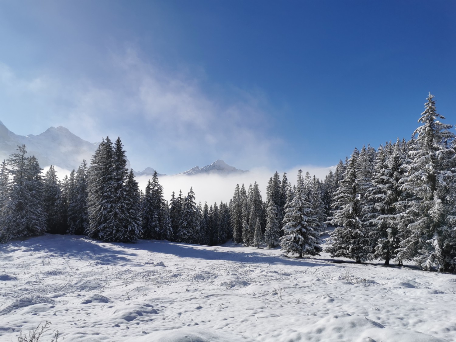 Zwischen Holzmattenläger und Holewang