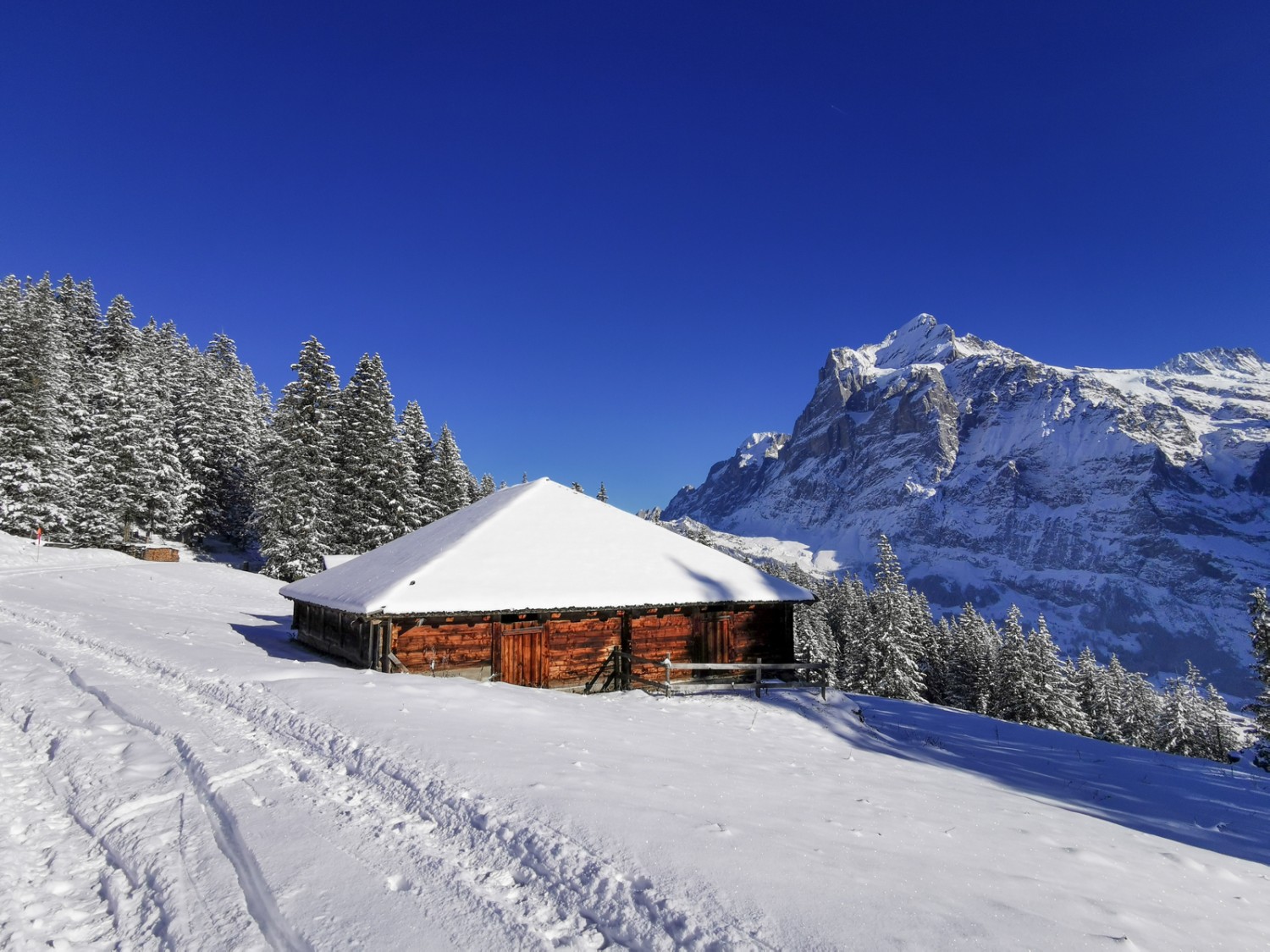 Alphütte Nodhalten, dahinter das Wetterhorn. Bild: Andreas Staeger