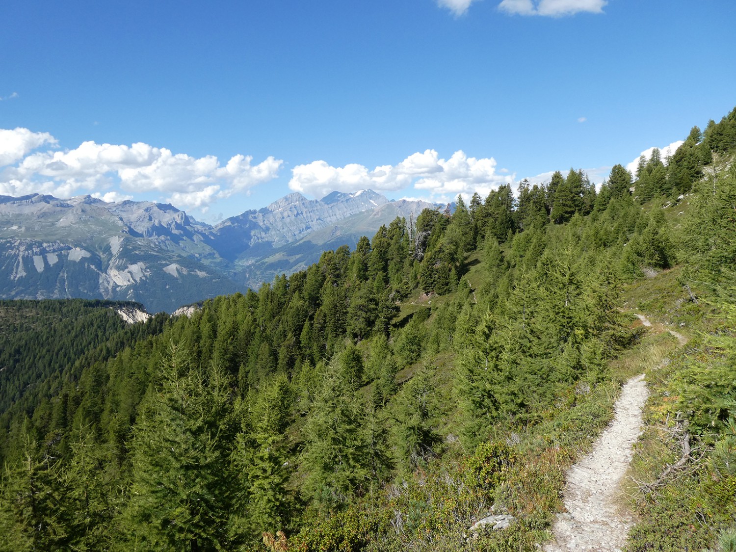 Vue sur l’Illgraben. Au fond, Loèche-les-Bains et le col de la Gemmi.