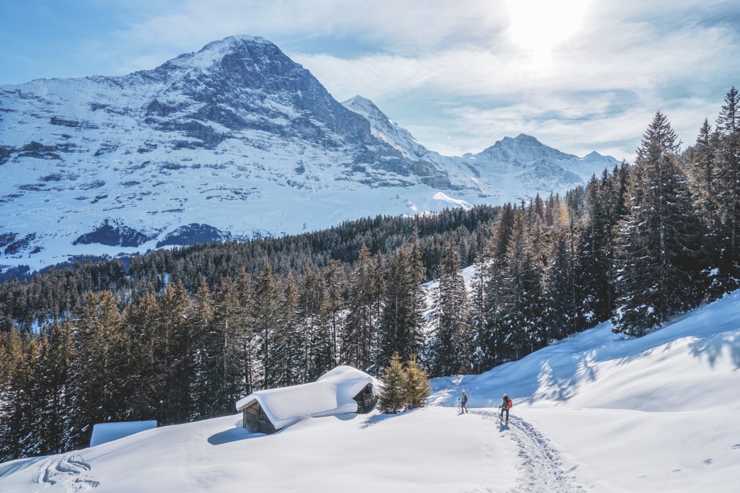 Sonne, Schnee und der Eiger, die wichtigsten Zutaten zu diesem Schneeschuhtrail. Bild: Fredy Joss