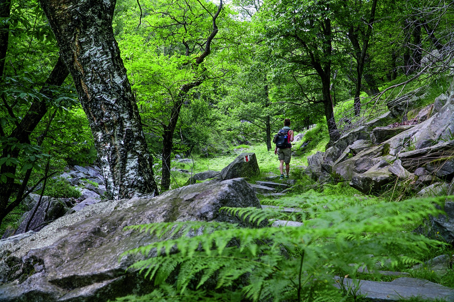 La nature à l’état pur dans la vallée du Ri da Riei.
Bilder: Mia Hofmann