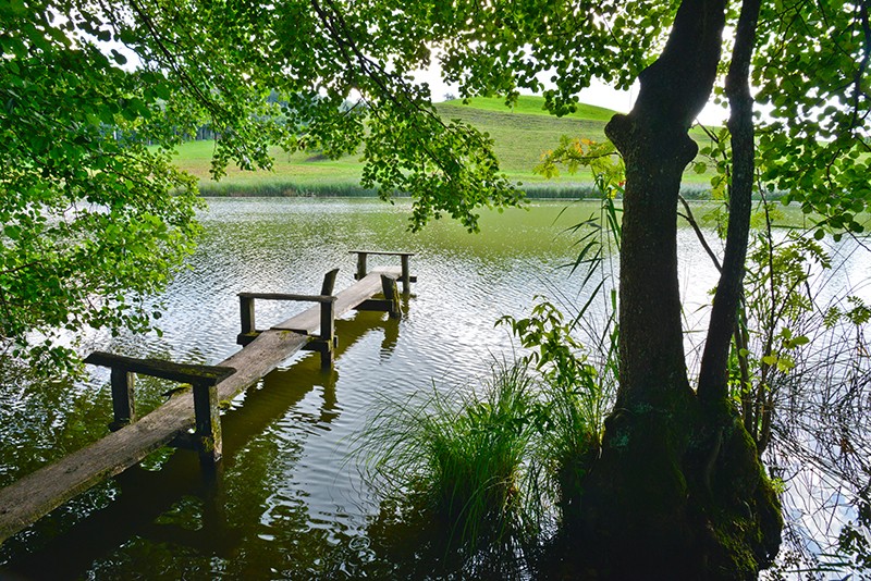 Un rivage idyllique. La seconde partie de la randonnée mène à plusieurs petits lacs.