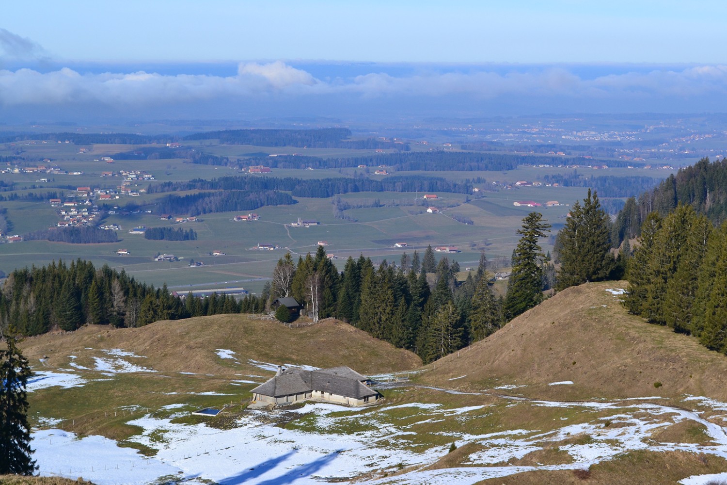 Alpgebäude mit sorgfältig gedecktem Schindeldach bei Mollie Vieille ob Semsales.
Bilder: Sabine Joss