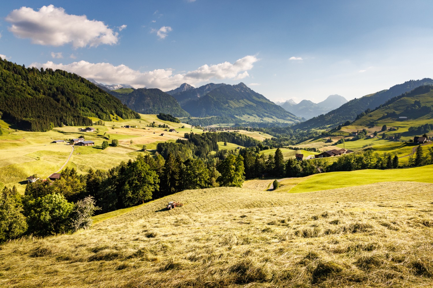 Im Abstieg wandert man aus dem Javrotal hinaus, der Dent de Broc entgegen. Bild: Severin Nowacki