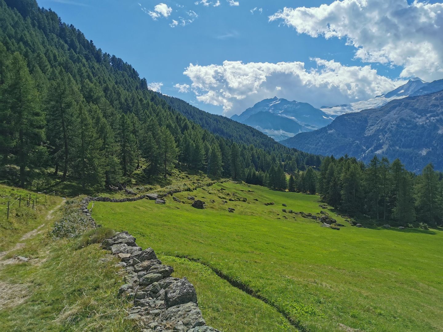 Bei Puntasell im Val da Camp.