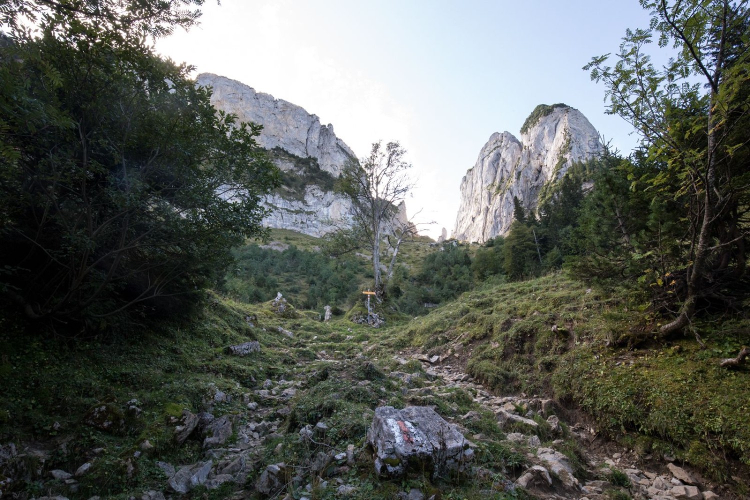 Randonnée raide au col du Bogartenlücke