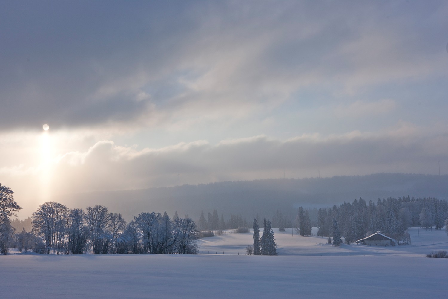 Dichte Baumbestände und offenes Weideland prägen die Wanderung. Bild: Jura Tourisme
