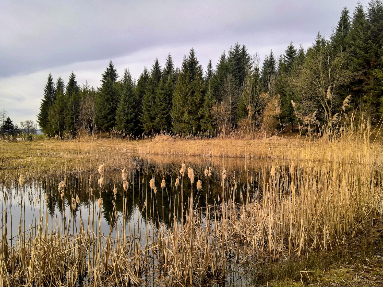 Idylle pur beim Tellewald. Bild: Andreas Staeger