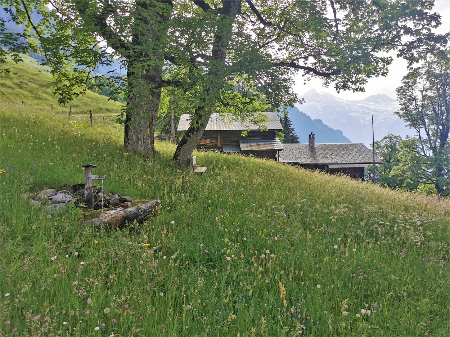 Petite halte au lieu-dit Sengg, avec une fontaine et un petit banc. Bild: Andreas Staeger