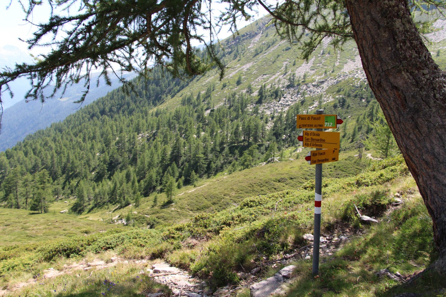 La descente vers San Bernardino. Photo: Alexandra Blatter