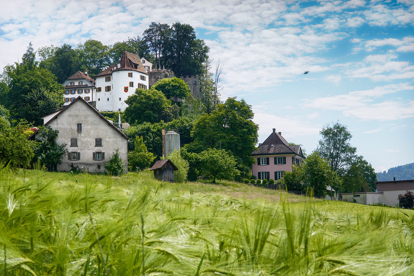 Peu après le début de la randonnée: le château de Trostburg dont la tour blanche arbore le blason bernois. Photos: Mia Hofmann