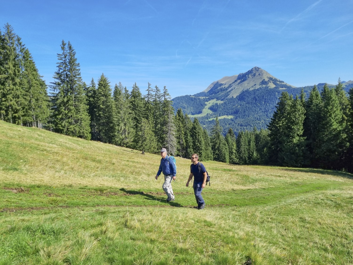 En direction du sommet de la Corbetta par des alpages. Photo: Nathalie Stöckli