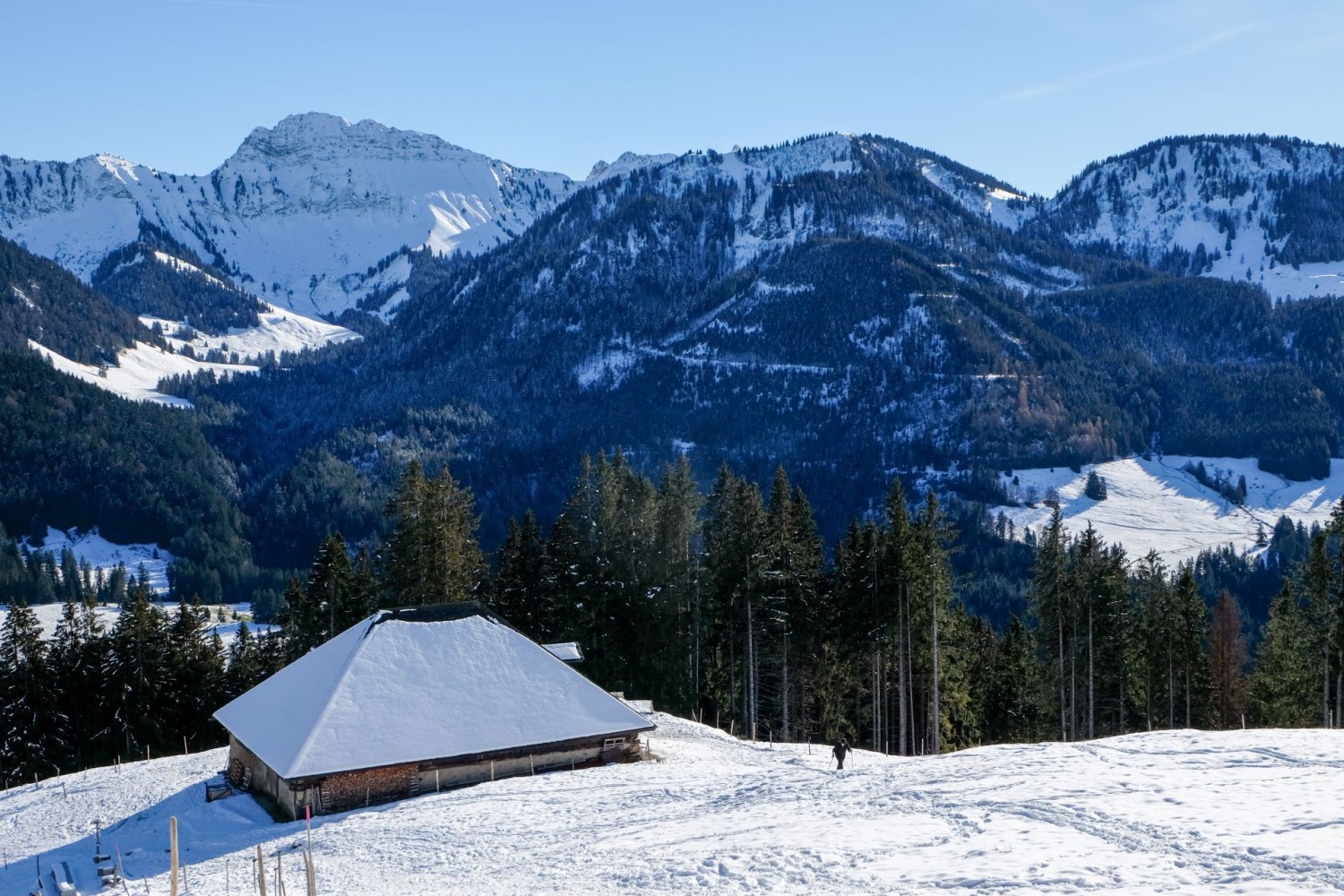 Le géant blanc, sur la gauche, est la Dent de Lys, la montagne surplombant Les Paccots.