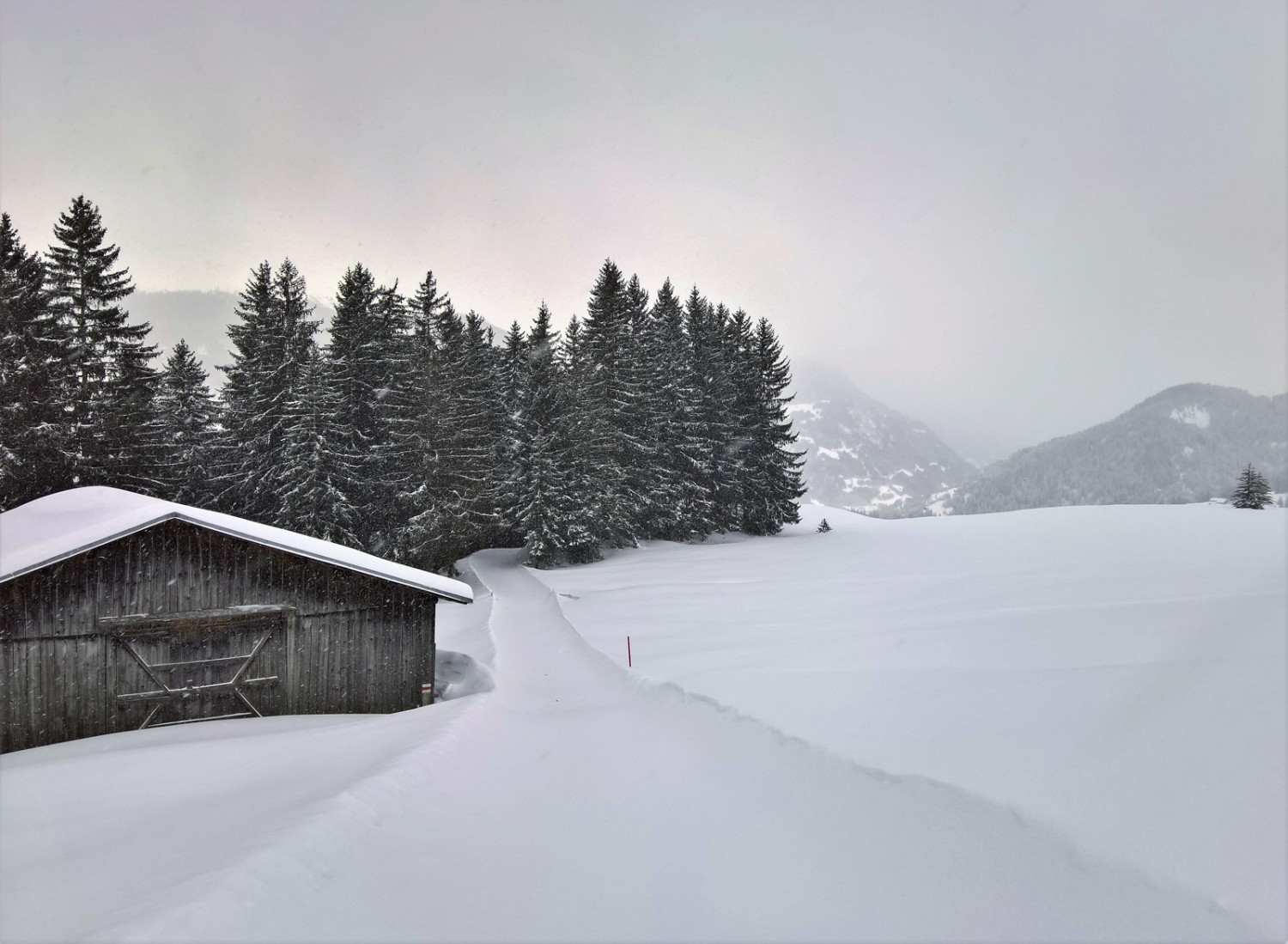 Prau Tgierv, oberhalb Brigels