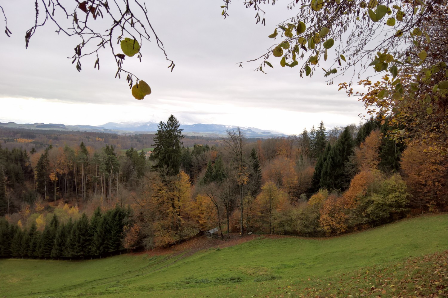 Sicht auf die Alpen bei der Lediflue: Blick nach Südwesten zu den verschneiten Gipfeln des Greyerzerlands.