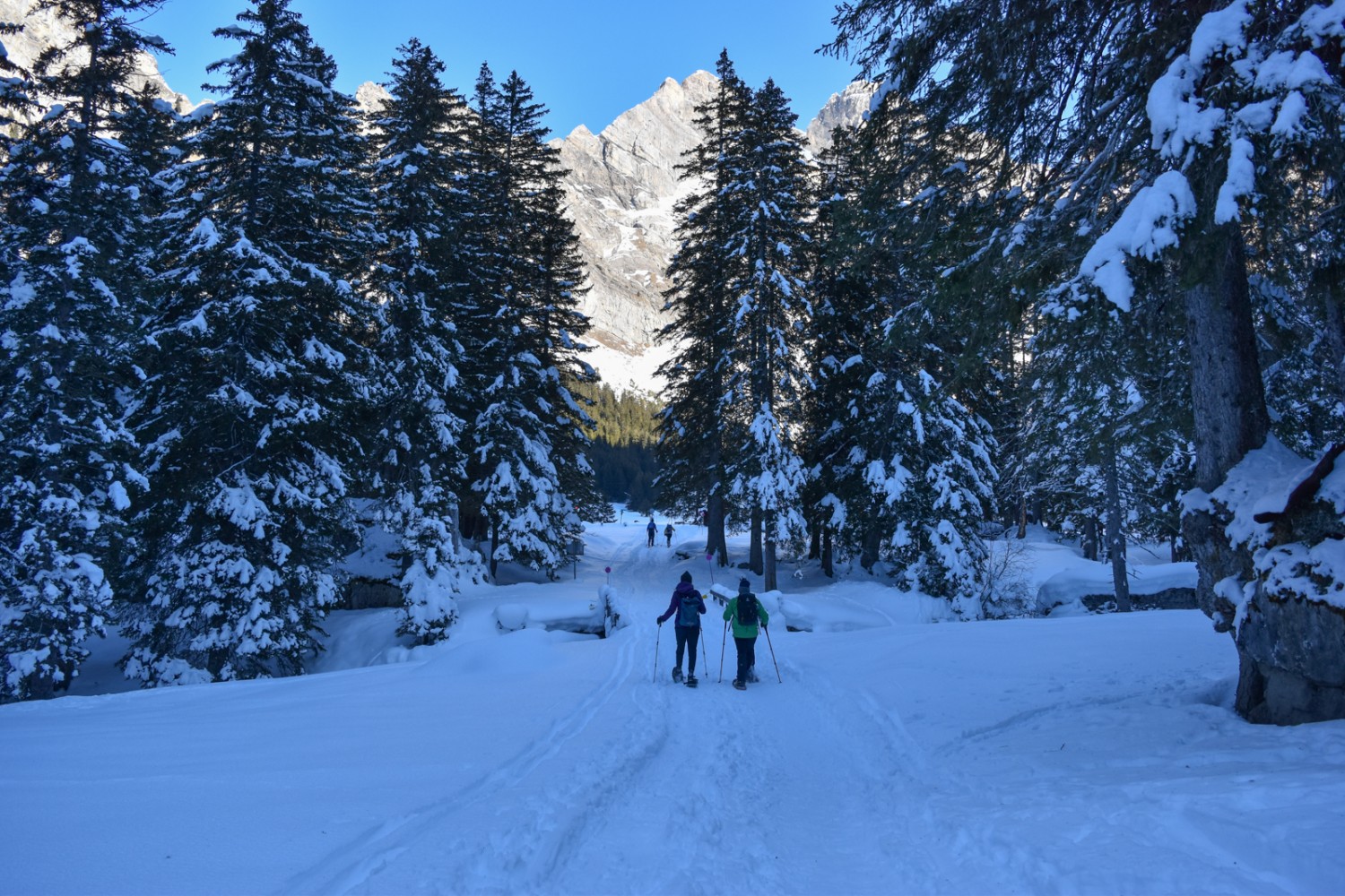 Les randonneurs ont aussi droit à la vue sur le massif des Diablerets. Photo: Nathalie Stöckli