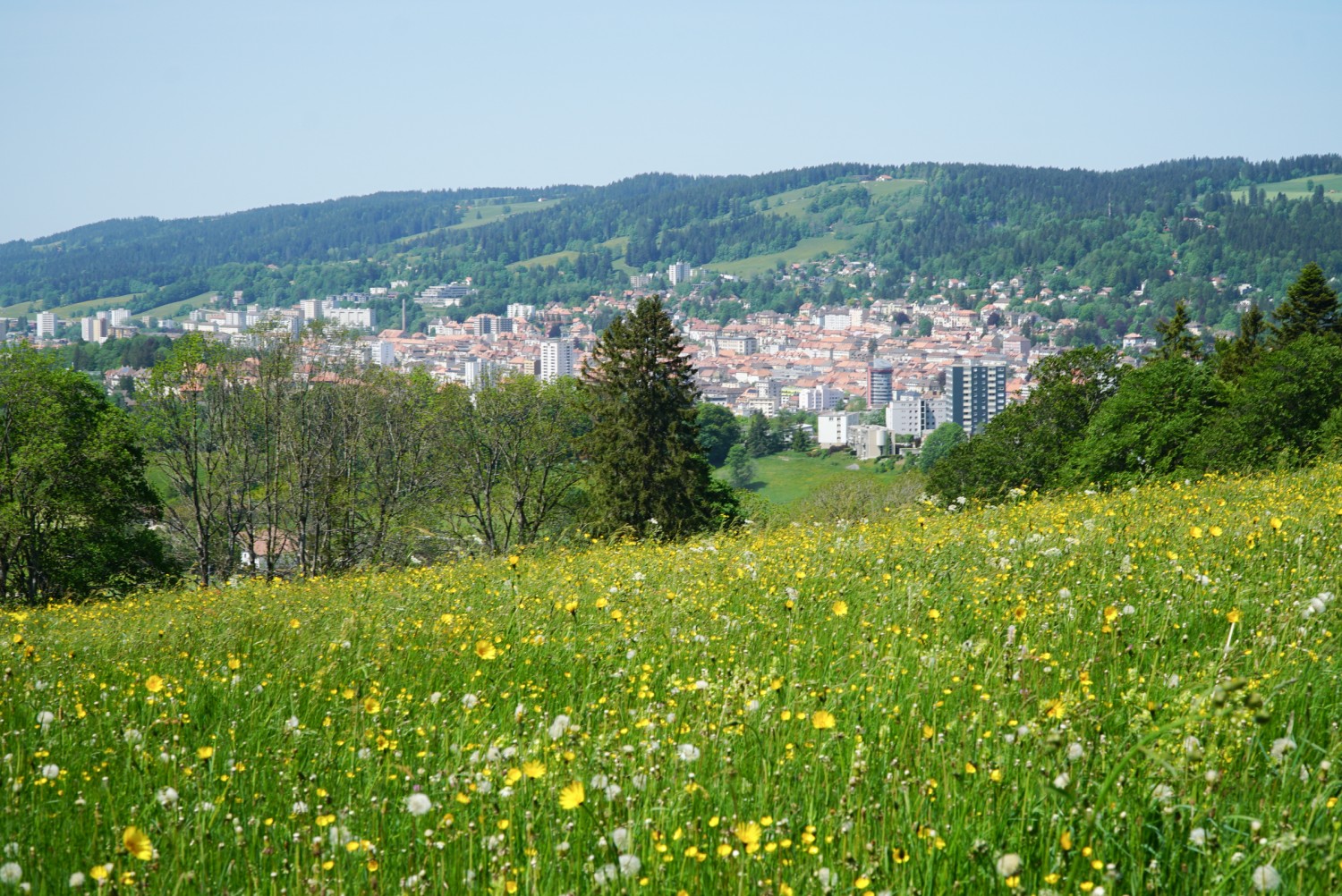 Vue sur La Chaux-de-Fonds, la destination finale de la randonnée. Photo: Mia Hofmann