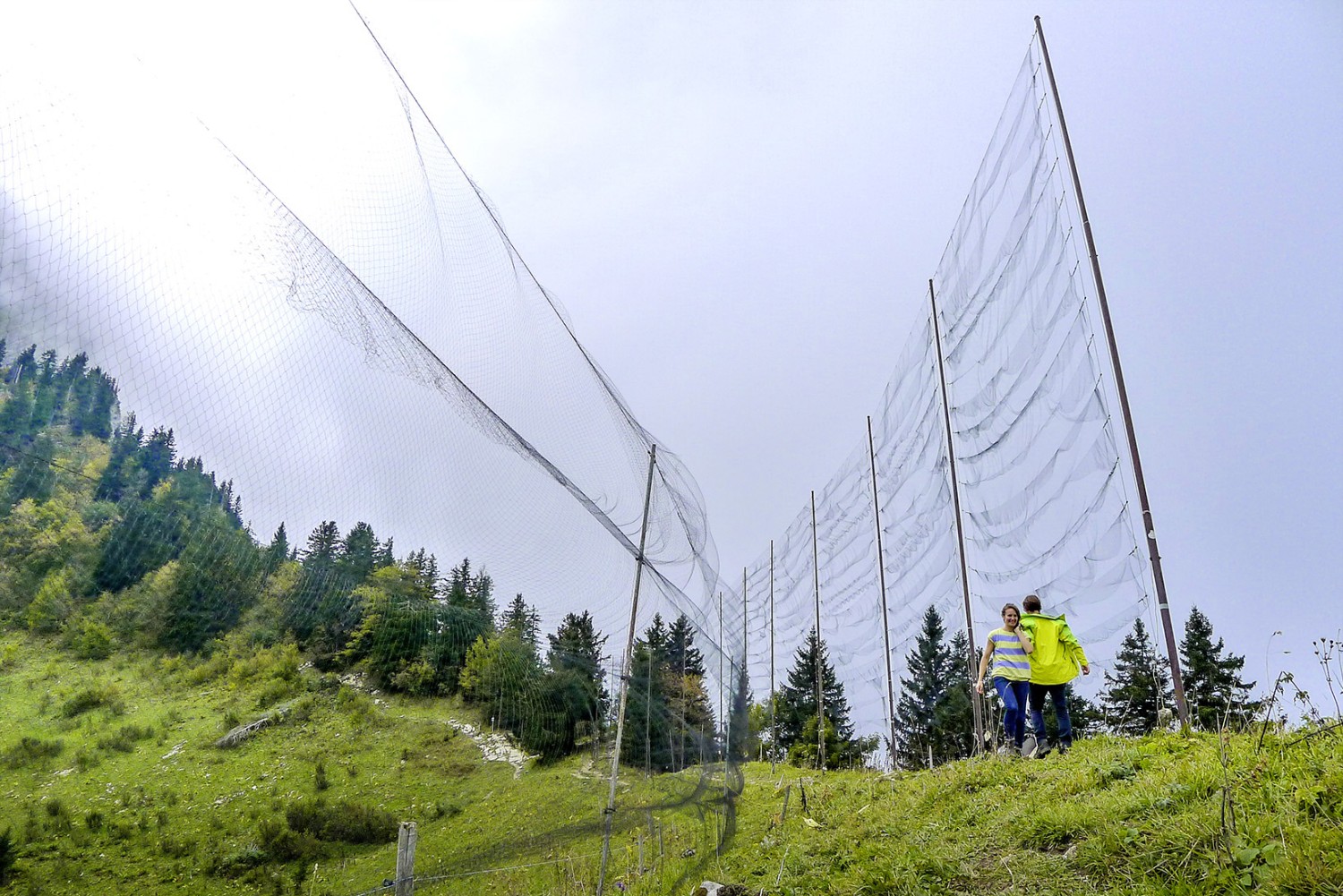 Le haut lieu des ornithologues: les filets sur le col.