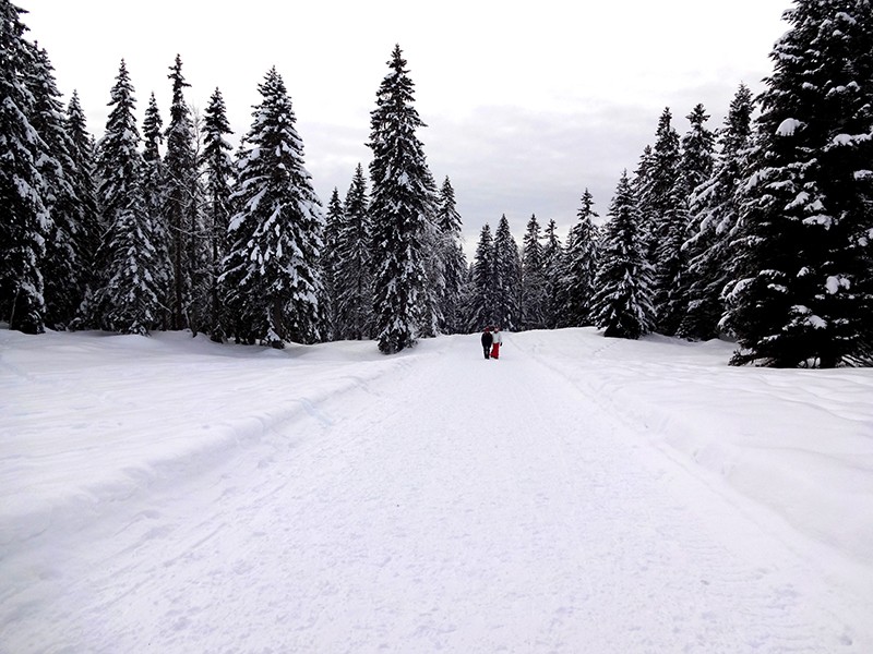 Verschneite Romantik auf dem Weg nach Vermeilley. Bilder: Miroslaw Halaba