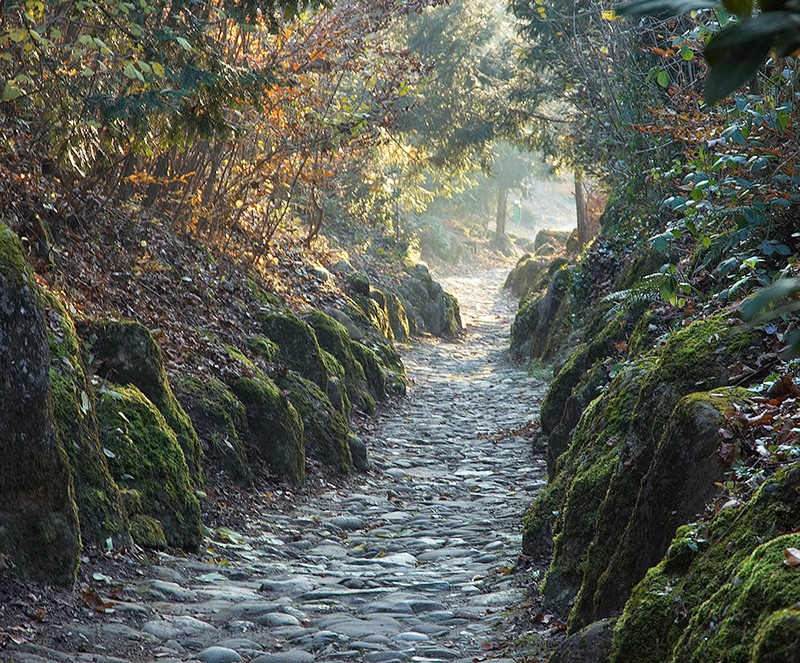 L’itinéraire passe par le célèbre Chemin creux. Photo: HohlgassLand Tourismus