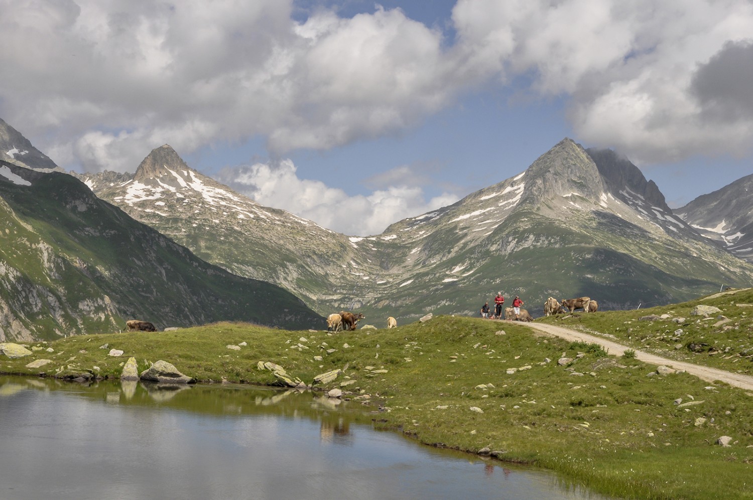 Lai Urlaun unterhalb der Maighelshütte mit Blick zurück Richtung Oberalppass. Bild: Daniel Fuchs