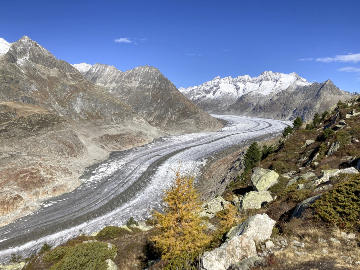 Der Aletschgletscher mit dem Grossen Wannenhorn im Hintergrund.