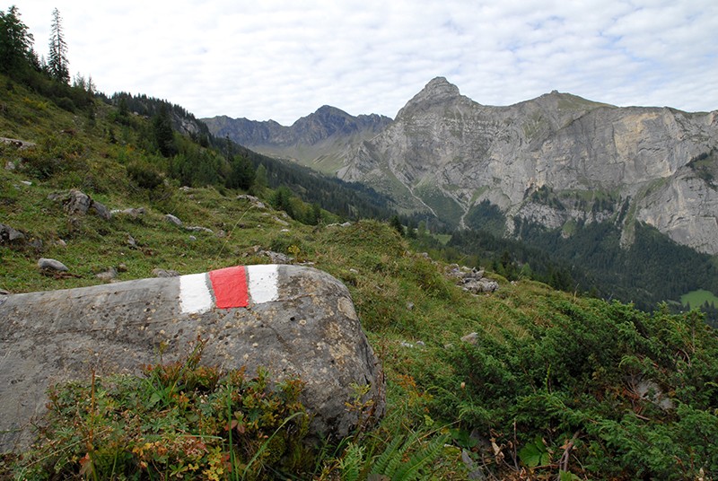 Sans les balisages de couleur, il serait parfois difficile de trouver la trace du chemin.                   Photo: Fredy Joss