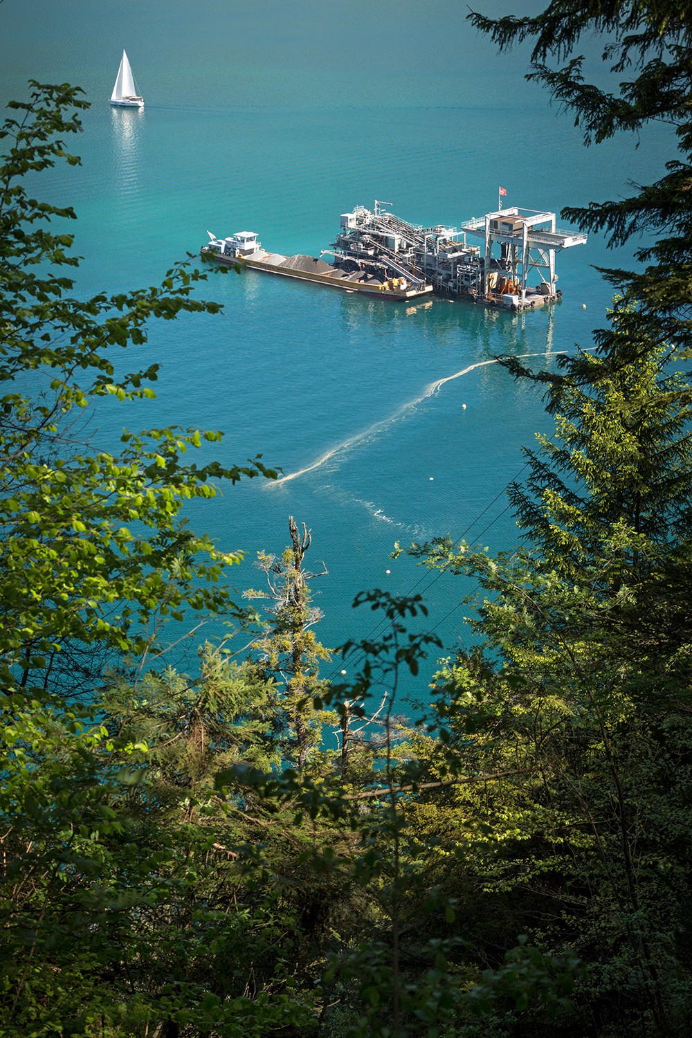 Von der Risletenschlucht aus ist der Bagger im Vierwaldstättersee gut zu sehen. Bild: Severin Nowacki