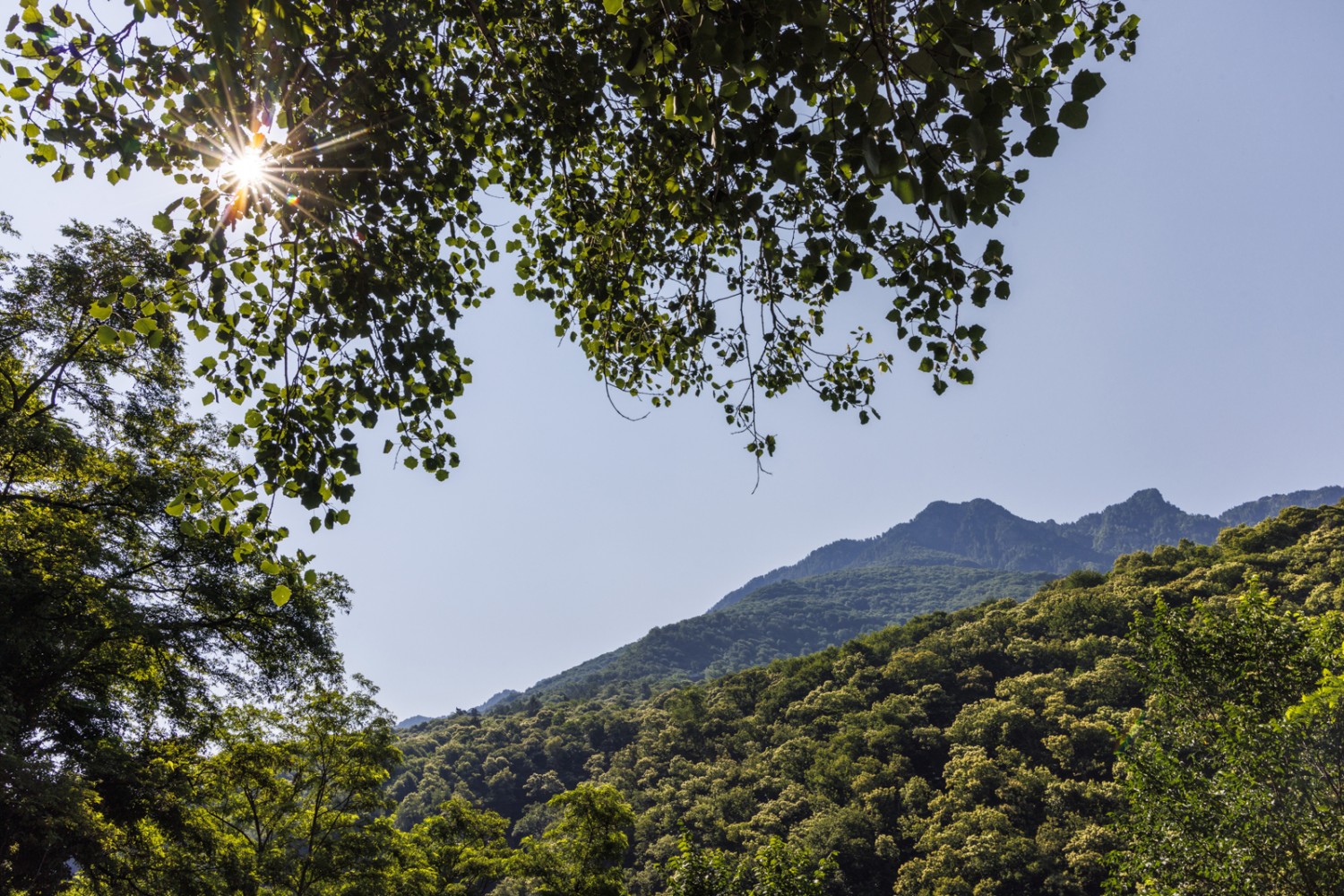 Hügelig und grün: Die abwechslungsreiche Wanderung bietet Schatten und immer wieder auch Ausblicke. Bild: Severin Nowacki