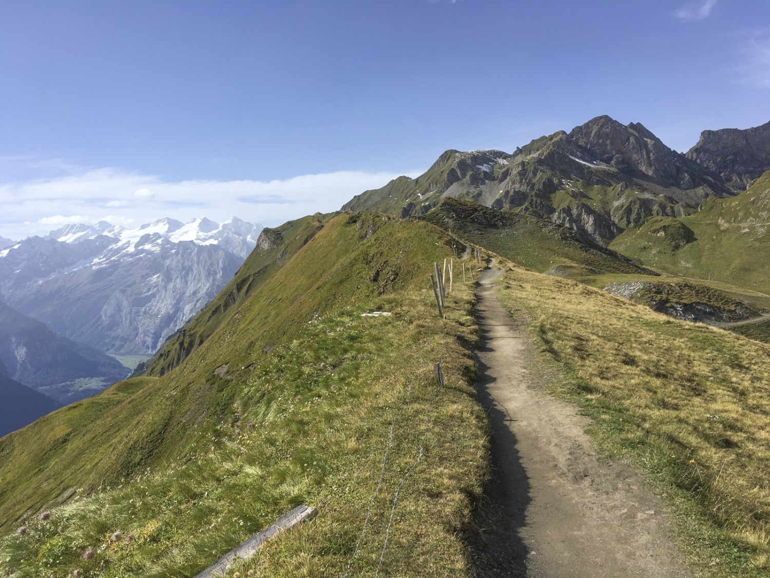 Höhepunkt der Wanderung: auf dem Grat vor dem Balmeregghoren. Bild: Jürg Steiner