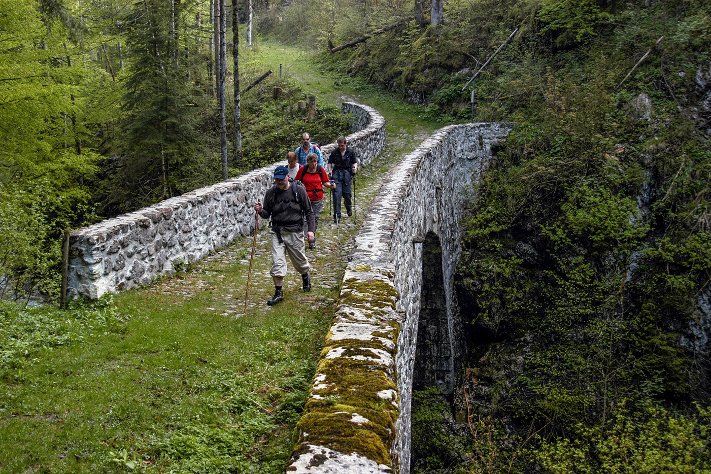 Traversée du Pontet, sur le chemin des fromages de la Gruyère à Vevey vers le col de Jaman.