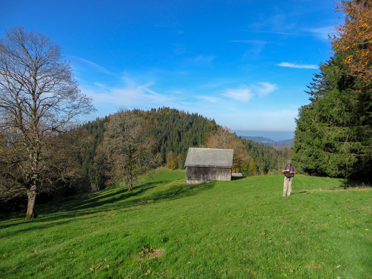 La montée en direction du Wilkethöchi