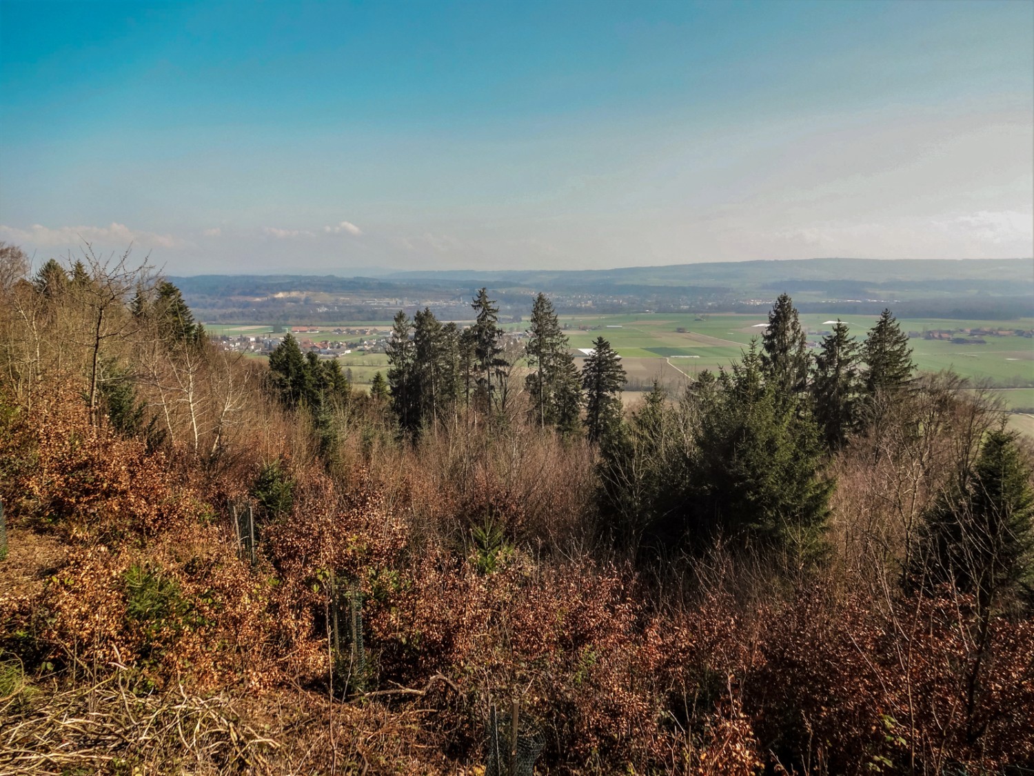 Blick in die Ebene südlich des Jäissbergs. Bild: Miroslaw Halaba