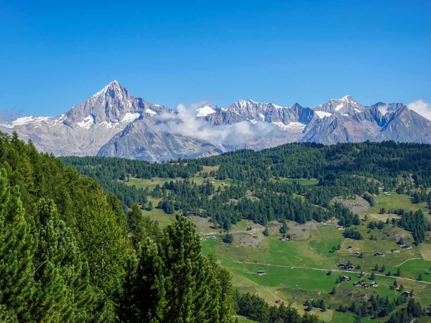 Un dernier regard sur Moosalp jusqu’au sommet du Bietschhorn.