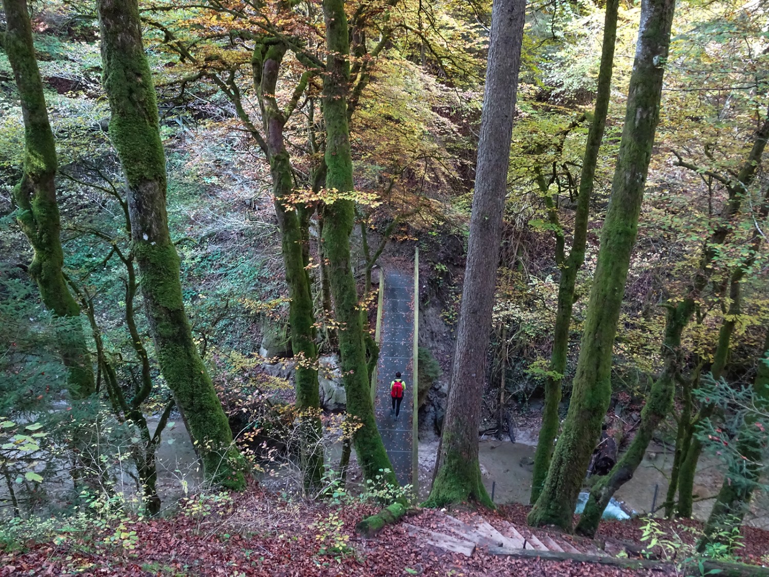 Le chemin traverse les gorges du Gottéron par des escaliers et des ponts. Photos: Sabine Joss