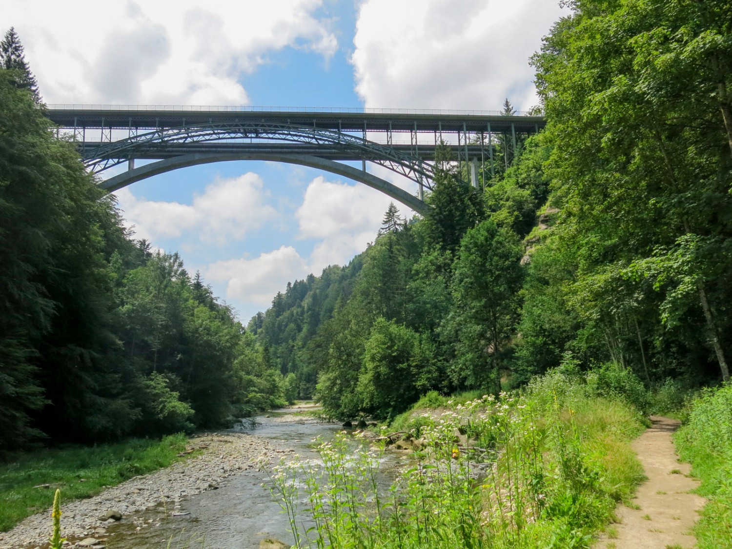 Die Wanderung geht entlang der Sense bis zum Büffel. Foto: Marina Bolzli