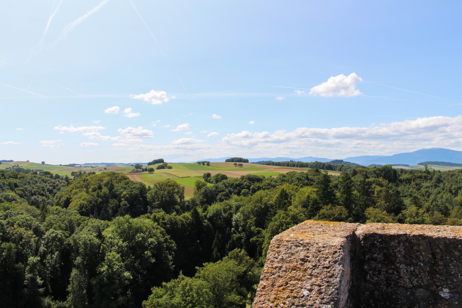 Le vestigia di un’imponente tenuta medievale: dalla Tour de St. Martin si gode di una splendida vista sul Giura e sui campi circostanti. Foto: Alexandra Blatter