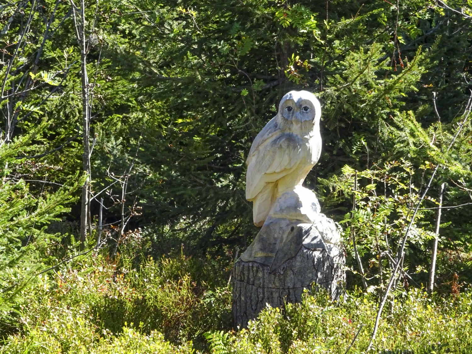 Aus Sturmholz geschnitzter Waldbewohner. Bild: Sabine Joss