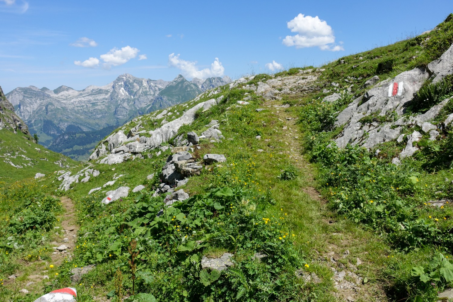 Der Blick fällt zuru&#776;ck auf Sa&#776;ntis und Schafberg. Bild: Christiana Sutter 