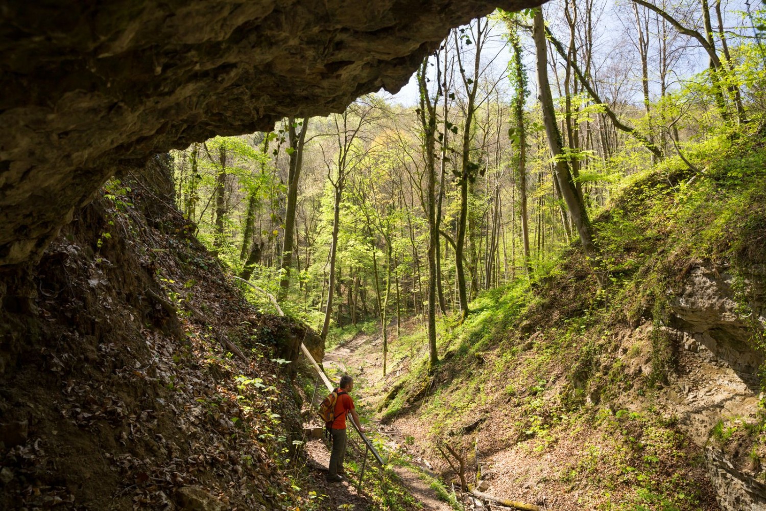 Le chemin se faufile dans le Ruschbachtal à côté des Ruschbachfälle.