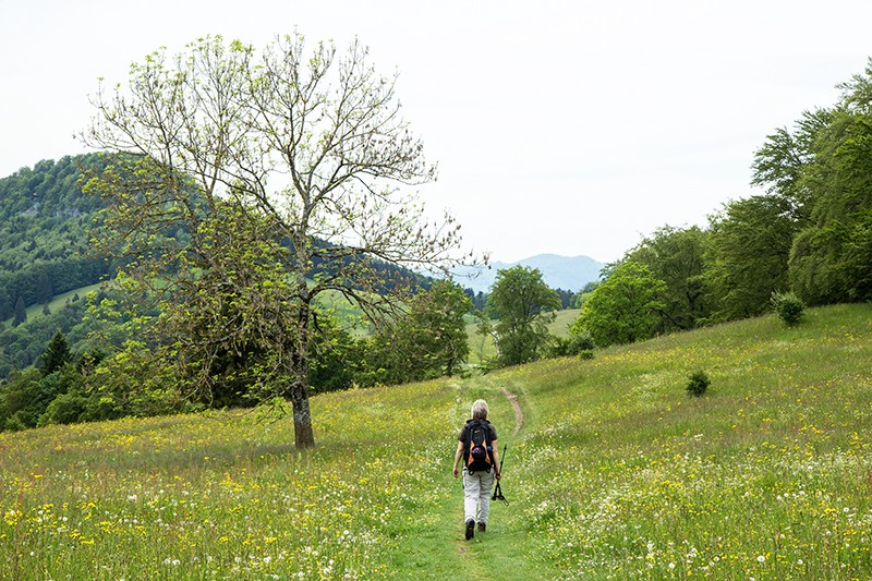 On s’approche de la Tiefmatt en traversant des prairies en fleurs. Photos: Daniel Fleuti