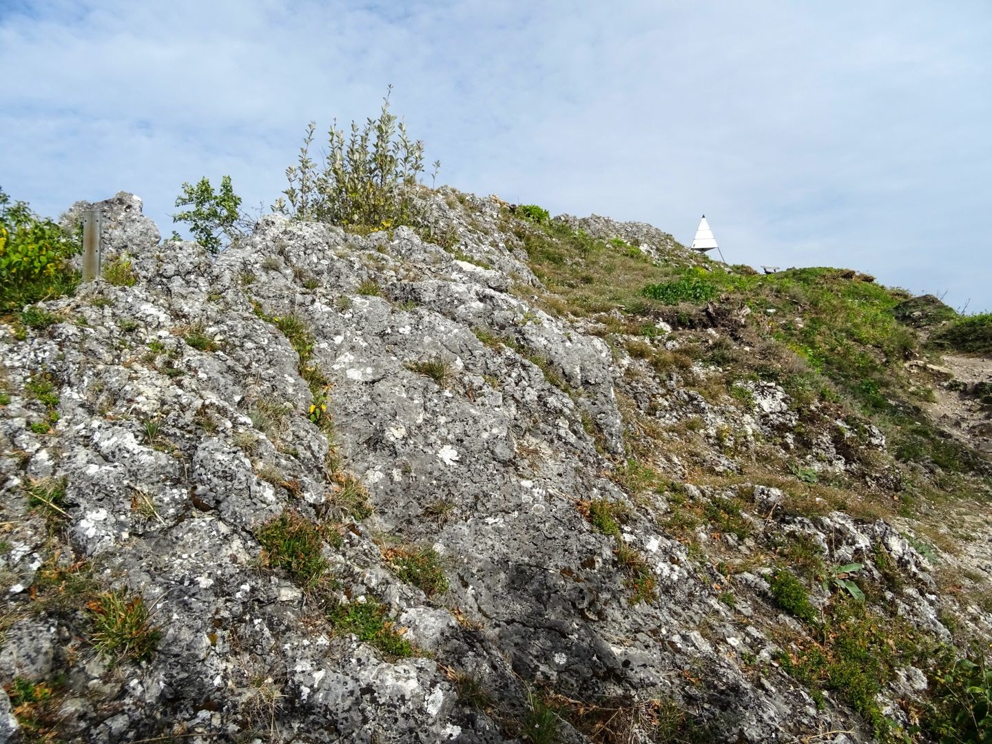 Des plantes rares poussent dans la zone rocheuse du haut de la Gisliflue.